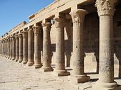 أعمدة مصرية مركبة من فيلة