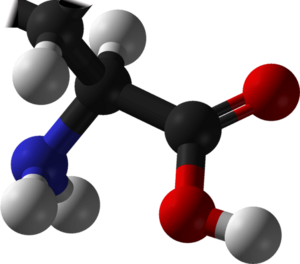 L-amino acid any.png