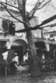 تصغير للنسخة بتاريخ 08:35، 2 مايو 2025