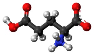 L-Glutamic-acid-zwitterion-3D-balls.png