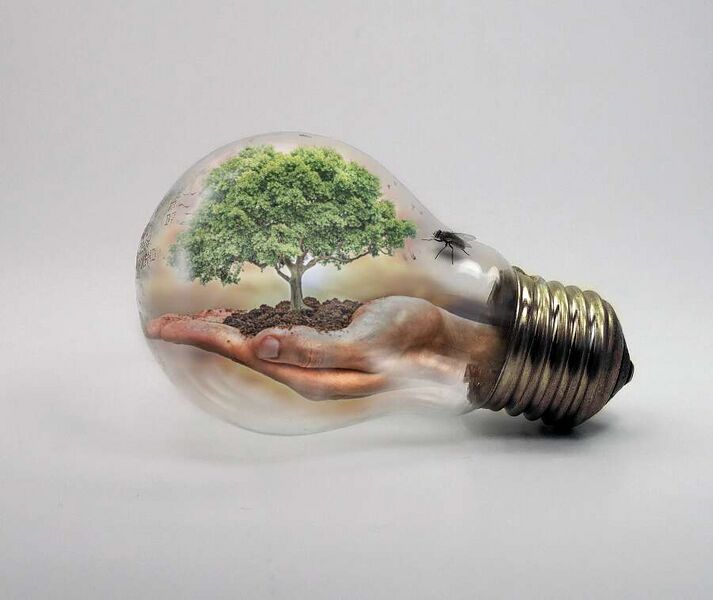 ملف:Nature in Bulb.jpg