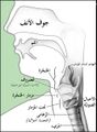 تصغير للنسخة بتاريخ 12:15، 2 مايو 2025