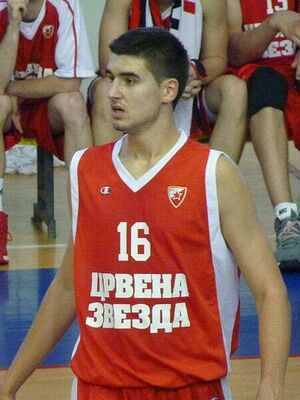Dušan Ristić.jpg