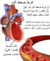 تصغير للنسخة بتاريخ 17:06، 30 أبريل 2025