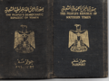 تصغير للنسخة بتاريخ 12:25، 1 مايو 2025
