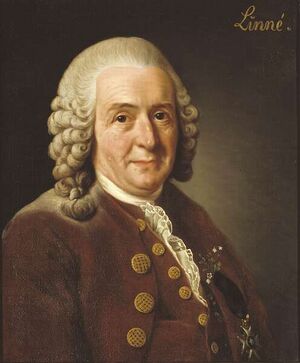 Carl von Linné.jpg