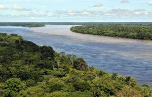 Amazon CIAT (2).jpg