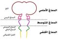 تصغير للنسخة بتاريخ 04:48، 2 مايو 2025
