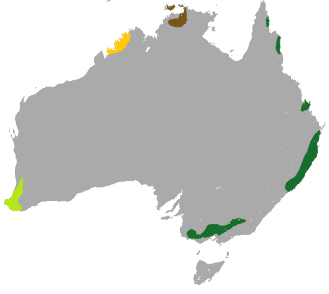 ملف:Common Wambenger area.png