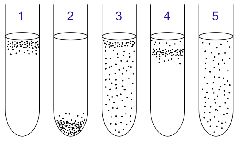 ملف:Anaerobic.png