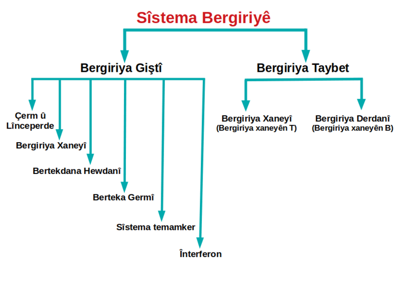ملف:Immune system ku.png