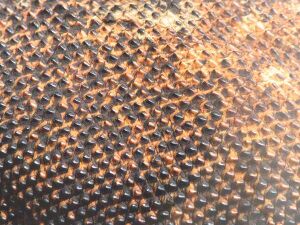Komodo dragon skin.jpg