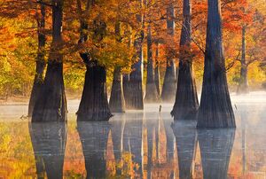 White River National refuge.jpg