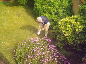 Gardening.jpg