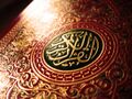 تصغير للنسخة بتاريخ 04:46، 2 مايو 2025