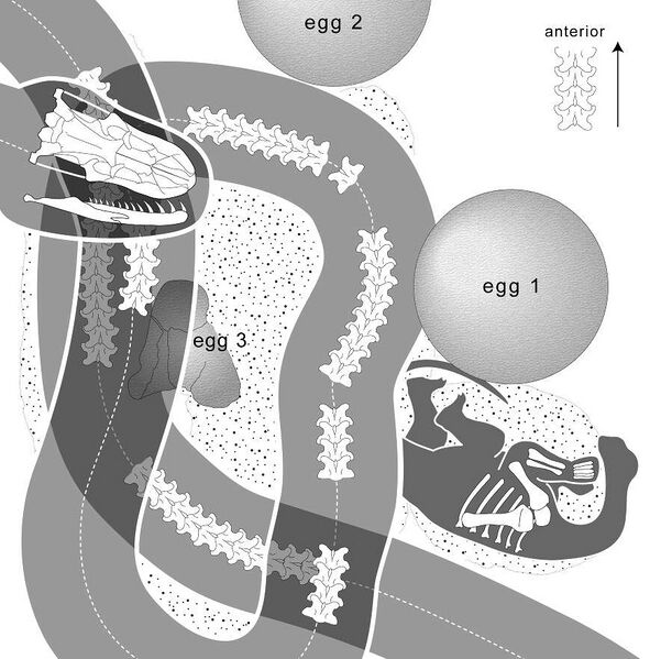 ملف:Sanajeh diagram.jpg