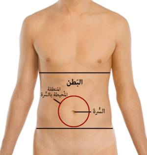 Abdomen-periumbilical region-ar.png