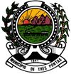 Official seal of Três Pontas