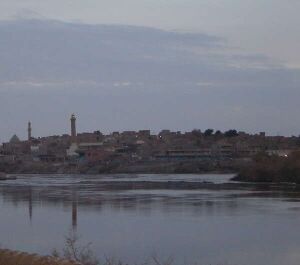0311iraq.jpg