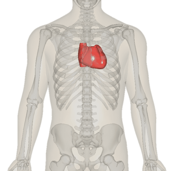 ملف:Heart near.png